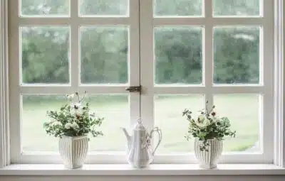 Double Pane Windows